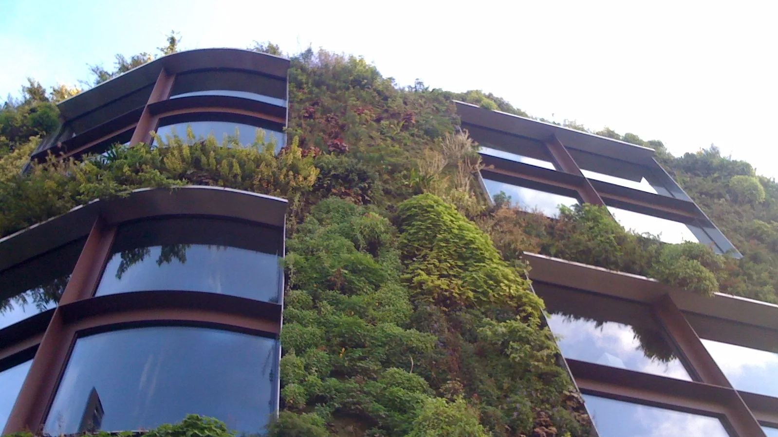 Green bonds et financement durable