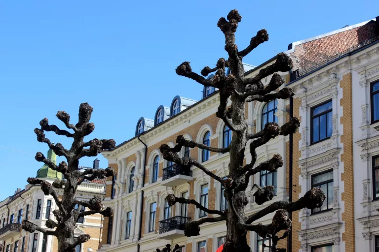 meilleur quartier de Poitiers